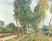 Alfred Sisley Ufer der Loing bei Moret oil painting on canvas